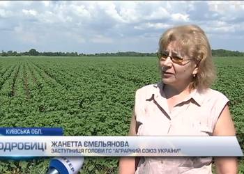 Заступниця Голови ГС "Аграрний союз України" Жанетта Ємельянова про нашу позицію щодо введення мита на дизпальне та скраплений газ 