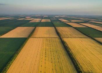 Нормативно грошова оцінка земель