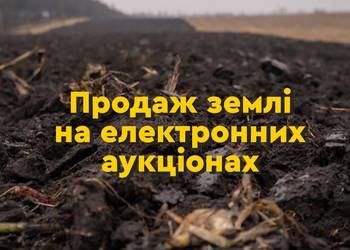 Зеленський підписав закон щодо продажу землі через електронні аукціони