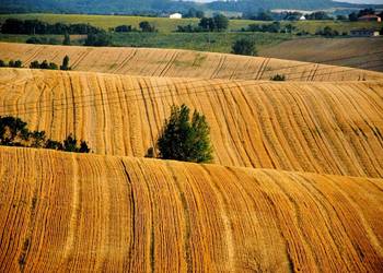 Аграрії Вінничини підтримують звернення Аграрного форуму Запорізької області