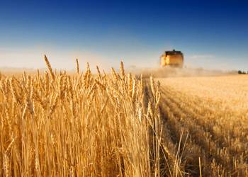 Намолочено перший мільйон тонн зерна нового врожаю!