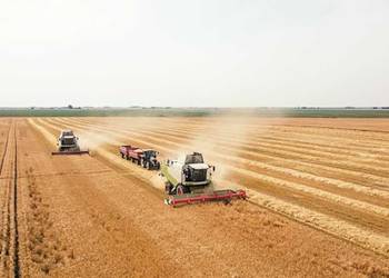 Аграрії Херсонщини завершили жнива озимої пшениці, ріпаку та гороху