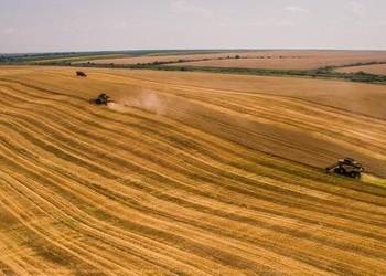 Аграрії Харківщини завершують жнива ранніх зернових з врожайністю 4,7 т/га