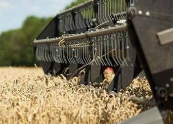 На Черкащині аграрії обмолотили близько половини площ ранніх зернових