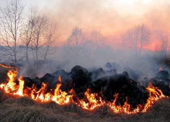 На Полтавщині поля потопають у пожежах