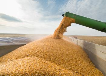 В Україні намолочено більше 60 млн тонн зерна