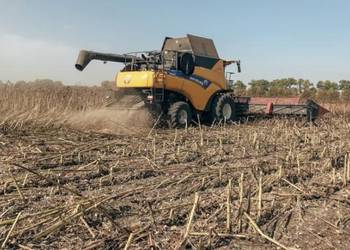 На Дніпропетровщині зібрали рекордний врожай зерна