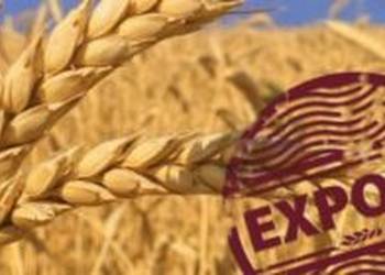 З початку 2021/2022 МР Україна експортувала близько 33,5 млн. тонн зерна