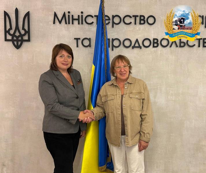 Керівника Аналітичного центру АСУ Ларису Старікову обрано головою Дорадчої групи сталого розвитку "Україна-ЄС"